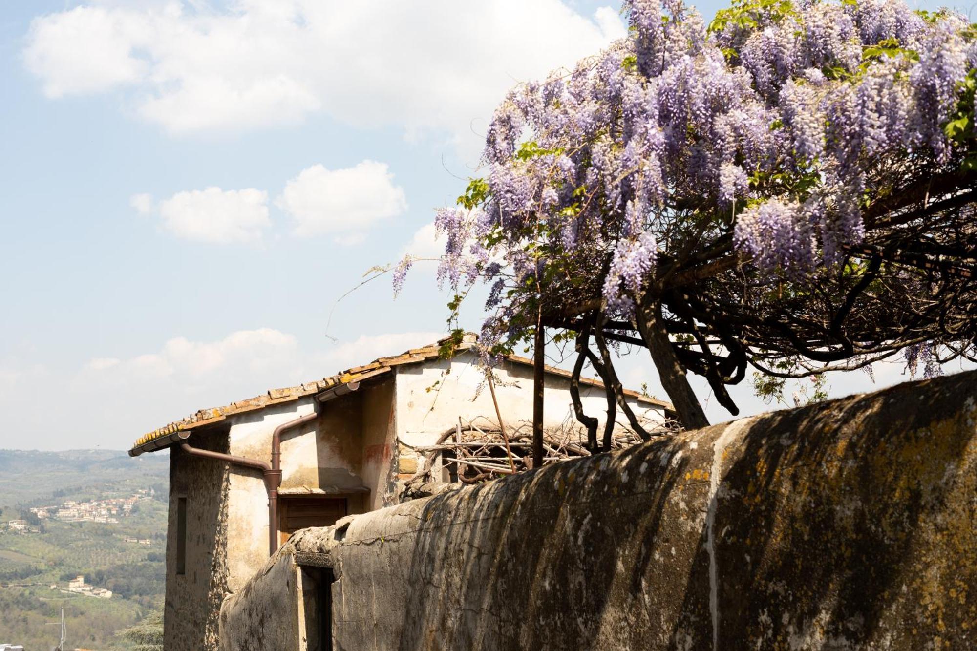 B&B Le Cannelle Fiesole Exterior photo